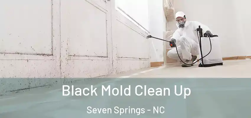  Black Mold Clean Up Seven Springs - NC