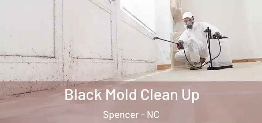 Black Mold Clean Up Spencer - NC