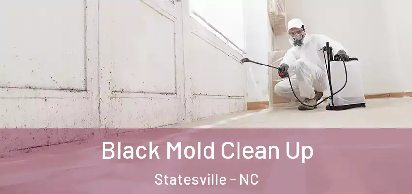 Black Mold Clean Up Statesville - NC