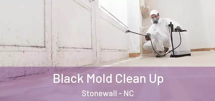  Black Mold Clean Up Stonewall - NC