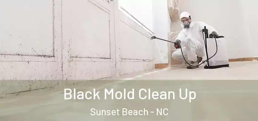  Black Mold Clean Up Sunset Beach - NC