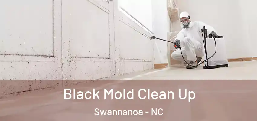  Black Mold Clean Up Swannanoa - NC