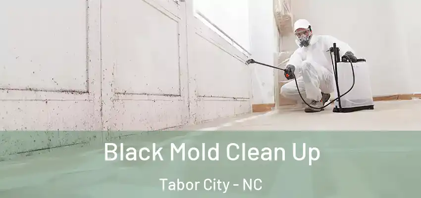  Black Mold Clean Up Tabor City - NC