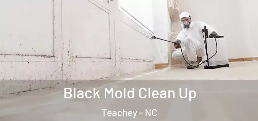  Black Mold Clean Up Teachey - NC