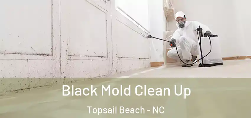  Black Mold Clean Up Topsail Beach - NC
