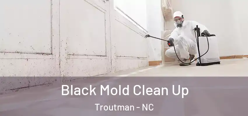 Black Mold Clean Up Troutman - NC
