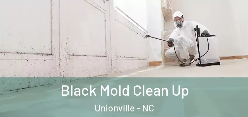 Black Mold Clean Up Unionville - NC
