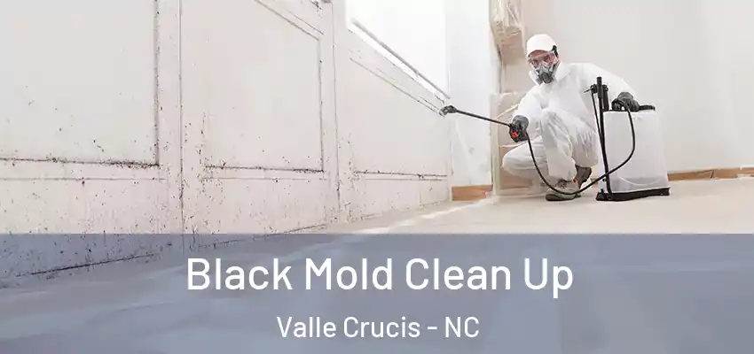  Black Mold Clean Up Valle Crucis - NC