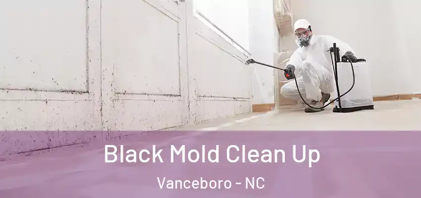 Black Mold Clean Up Vanceboro - NC