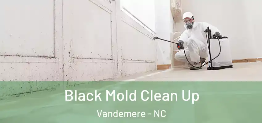  Black Mold Clean Up Vandemere - NC