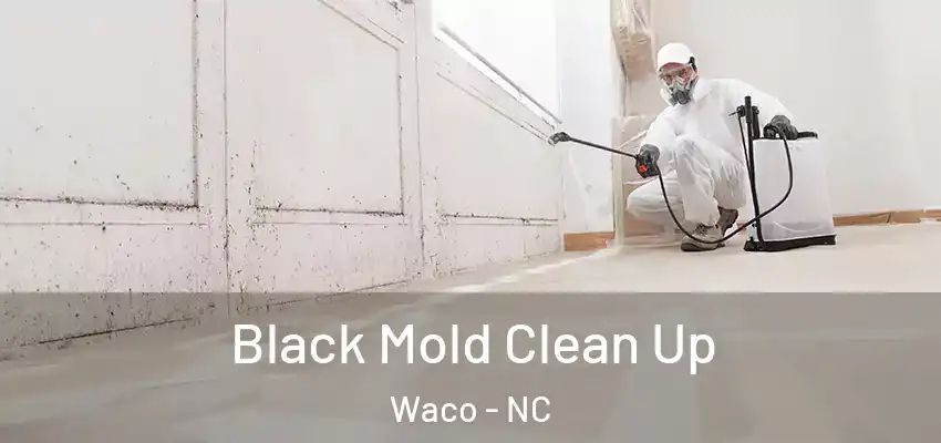  Black Mold Clean Up Waco - NC