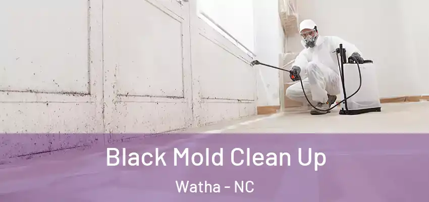 Black Mold Clean Up Watha - NC