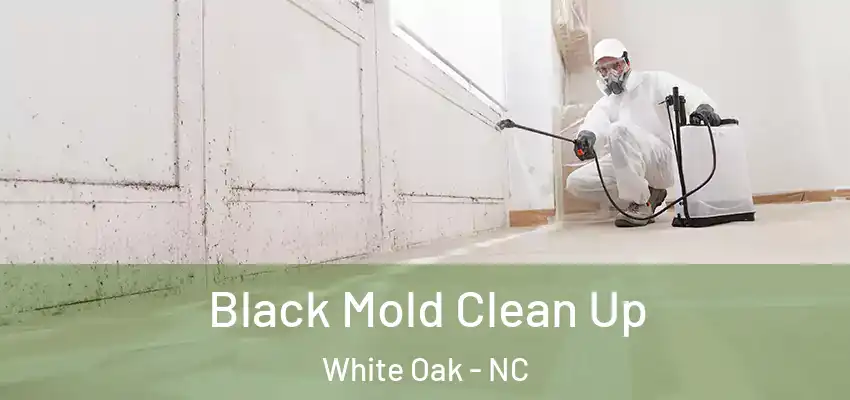 Black Mold Clean Up White Oak - NC