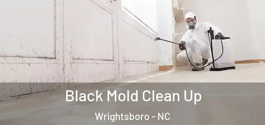 Black Mold Clean Up Wrightsboro - NC