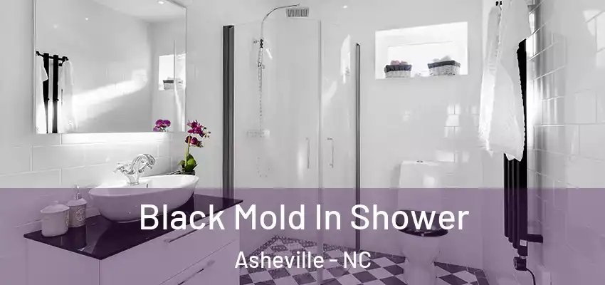  Black Mold In Shower Asheville - NC