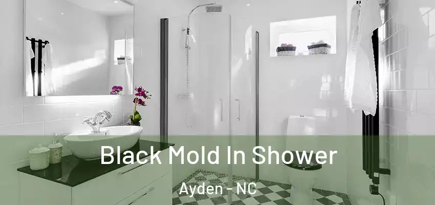  Black Mold In Shower Ayden - NC