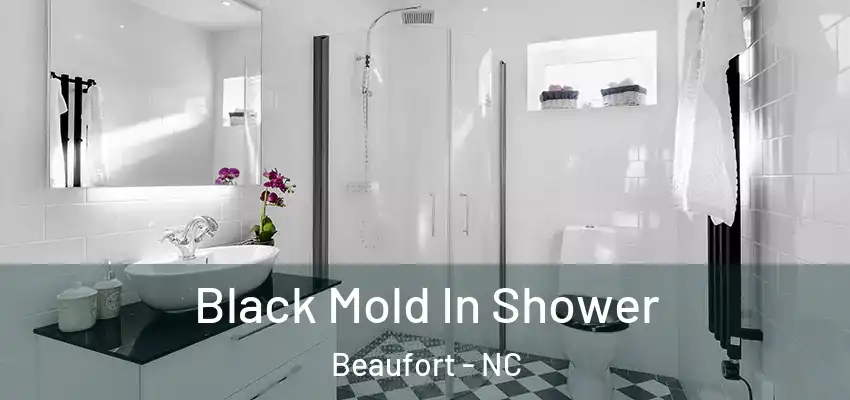  Black Mold In Shower Beaufort - NC