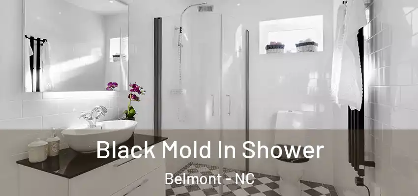  Black Mold In Shower Belmont - NC