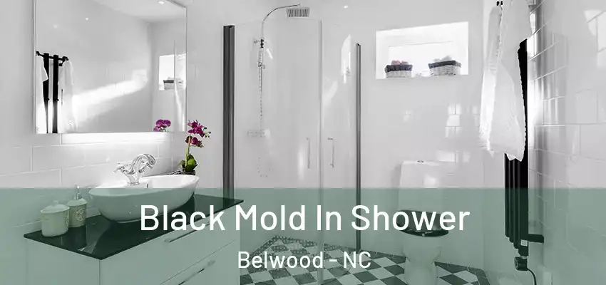  Black Mold In Shower Belwood - NC