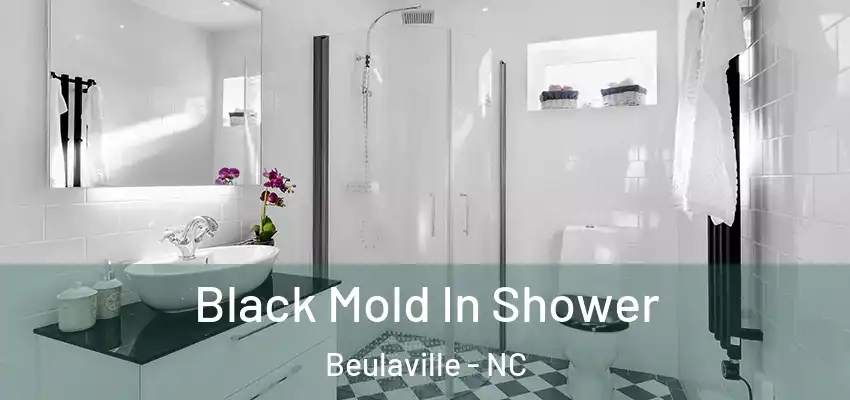  Black Mold In Shower Beulaville - NC