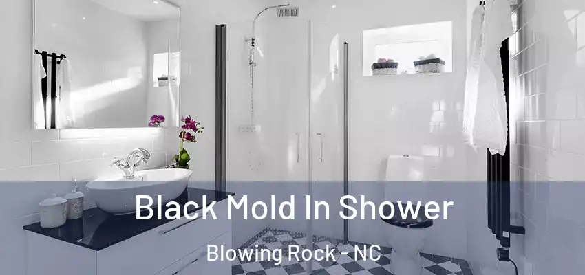 Black Mold In Shower Blowing Rock - NC