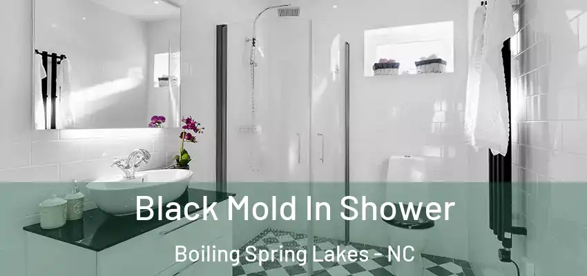  Black Mold In Shower Boiling Spring Lakes - NC