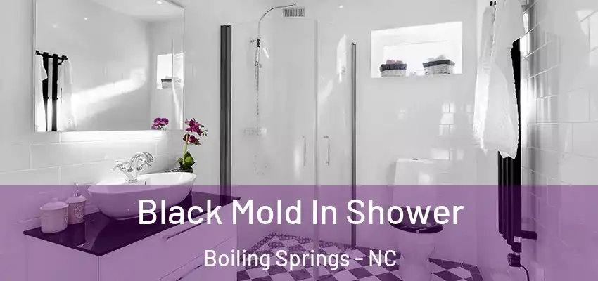  Black Mold In Shower Boiling Springs - NC