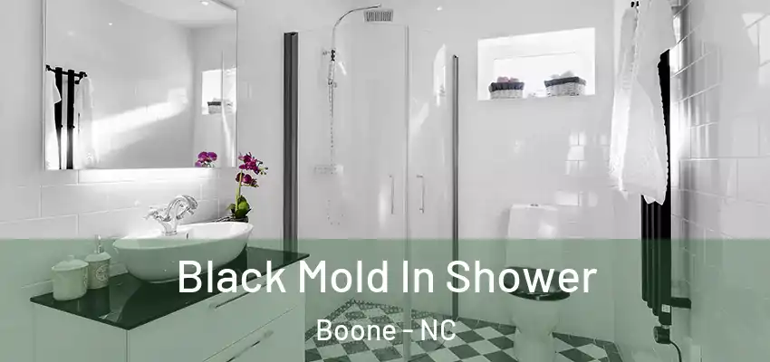 Black Mold In Shower Boone - NC