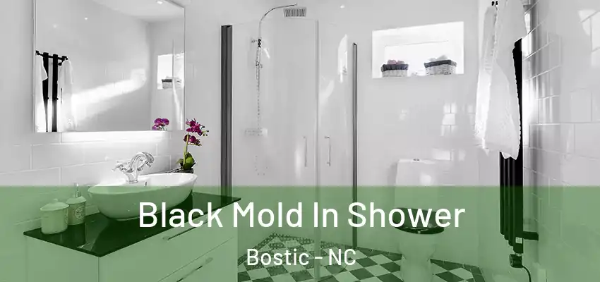 Black Mold In Shower Bostic - NC