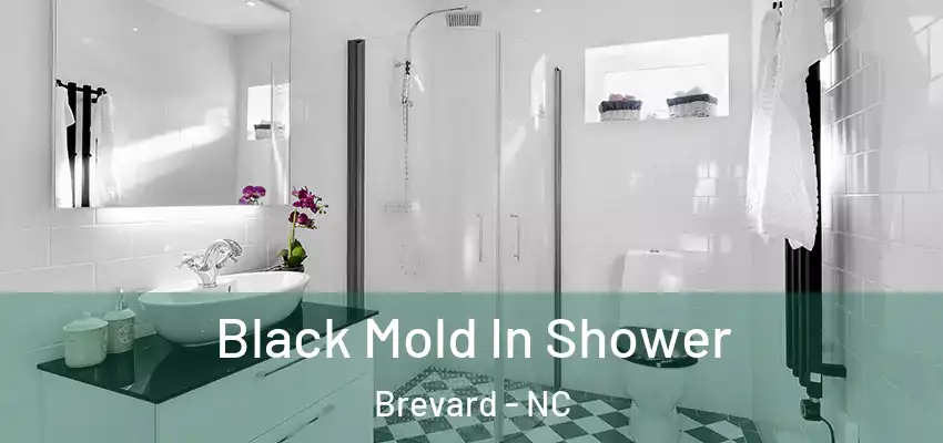  Black Mold In Shower Brevard - NC