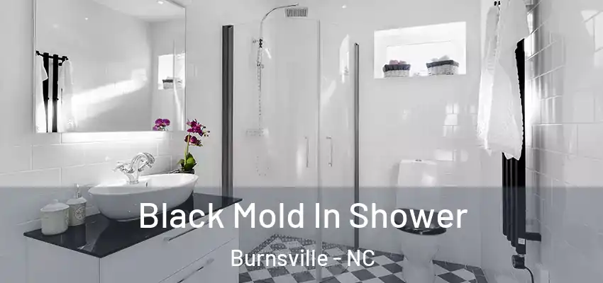  Black Mold In Shower Burnsville - NC