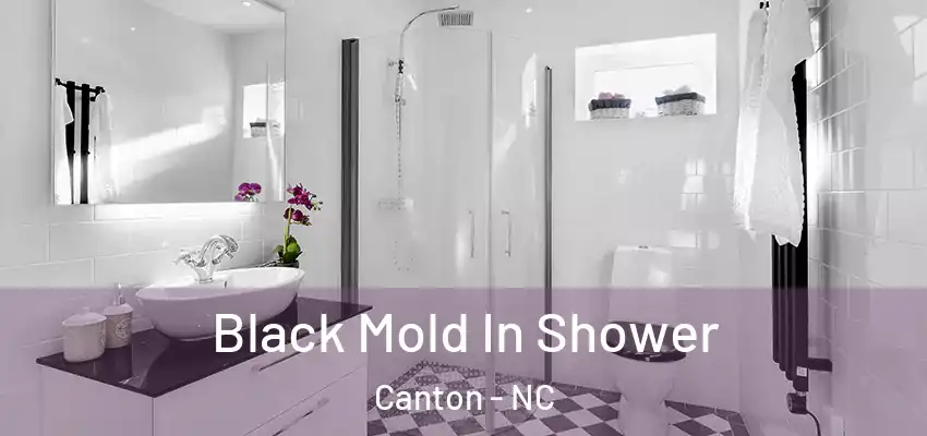 Black Mold In Shower Canton - NC