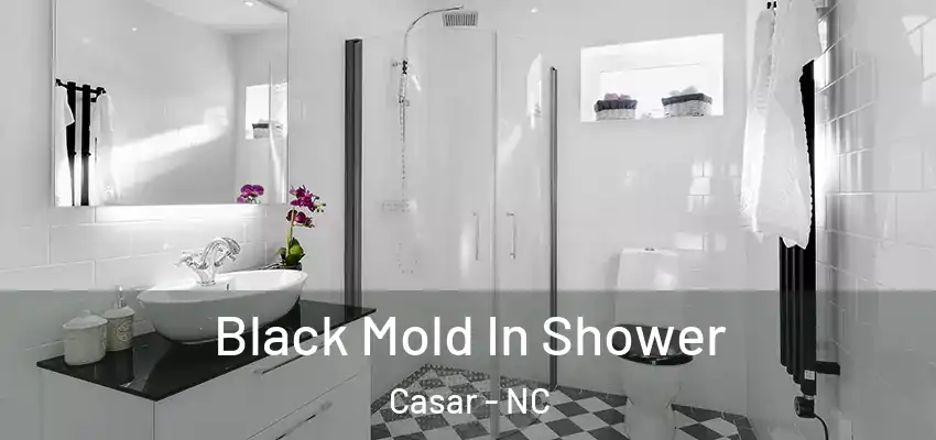  Black Mold In Shower Casar - NC