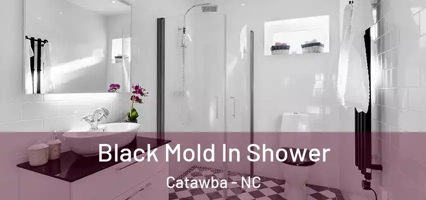  Black Mold In Shower Catawba - NC