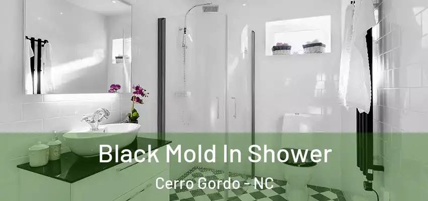  Black Mold In Shower Cerro Gordo - NC