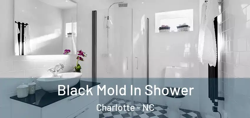  Black Mold In Shower Charlotte - NC