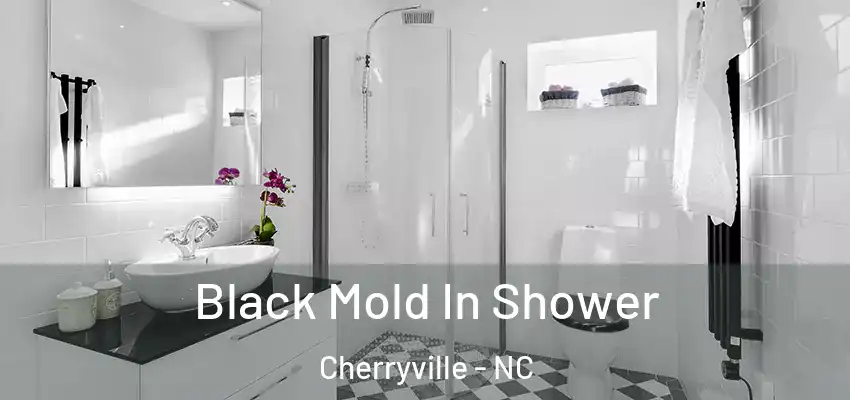 Black Mold In Shower Cherryville - NC