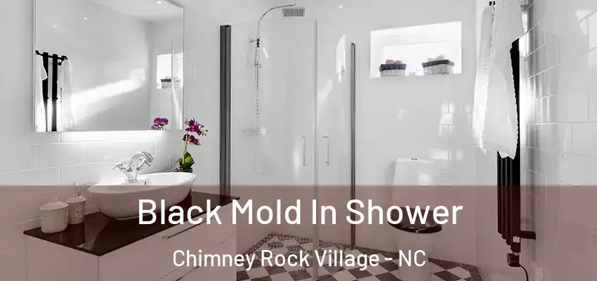  Black Mold In Shower Chimney Rock Village - NC
