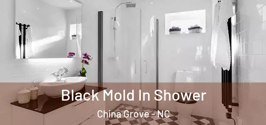  Black Mold In Shower China Grove - NC