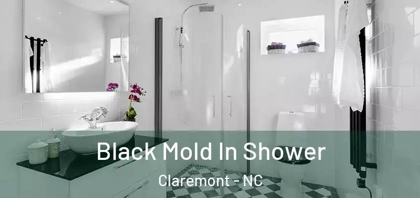  Black Mold In Shower Claremont - NC