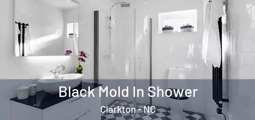  Black Mold In Shower Clarkton - NC