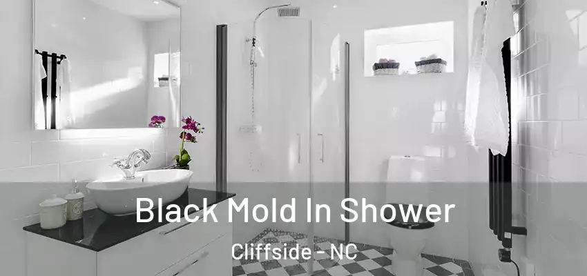  Black Mold In Shower Cliffside - NC