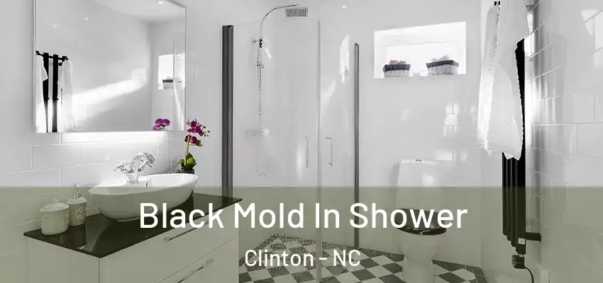  Black Mold In Shower Clinton - NC