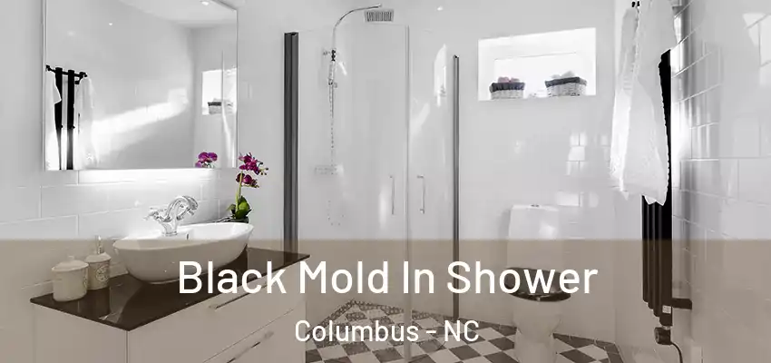  Black Mold In Shower Columbus - NC