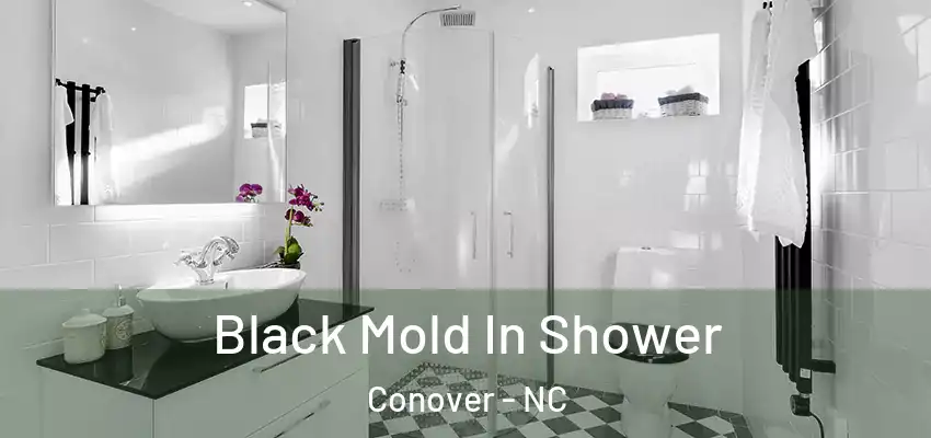  Black Mold In Shower Conover - NC
