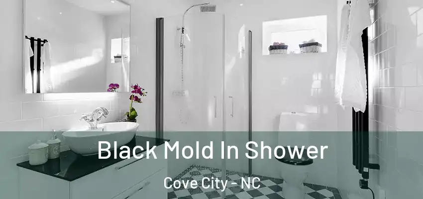  Black Mold In Shower Cove City - NC