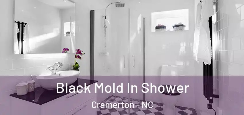  Black Mold In Shower Cramerton - NC