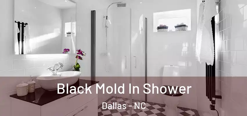 Black Mold In Shower Dallas - NC