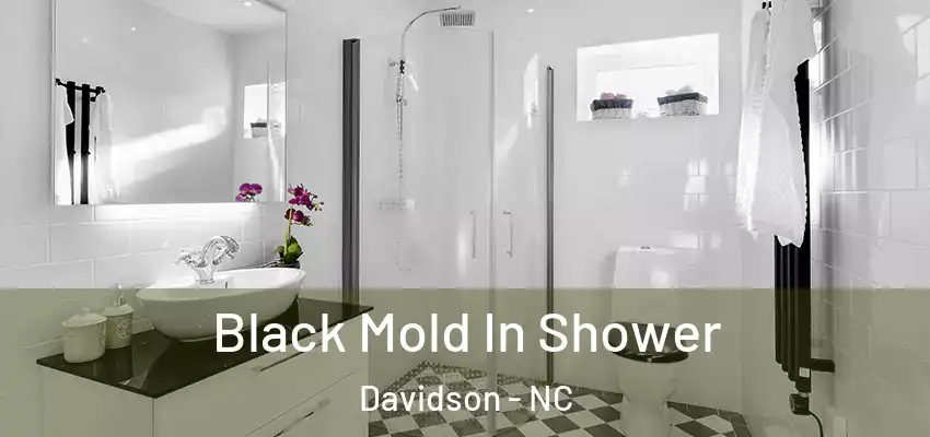 Black Mold In Shower Davidson - NC