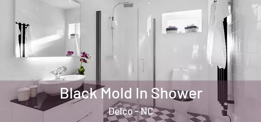 Black Mold In Shower Delco - NC